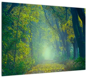 Tablou pe sticlă cu drum dea lungul cu copaci (70x50 cm)