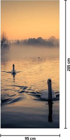 Fototapet pentru ușă - Lebede pe apă în ceață (95x205cm)