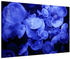 Tablou - Meduză (90x60 cm)