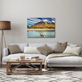 Tablou - Parcul Național Torres del Paine (70x50 cm)