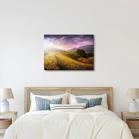 Tablou peisajului (70x50 cm)
