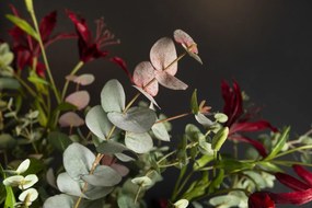 Aranjament floral mare decor festiv design LUX VASE SHELL WITH EUCALYPTUS, H-130cm