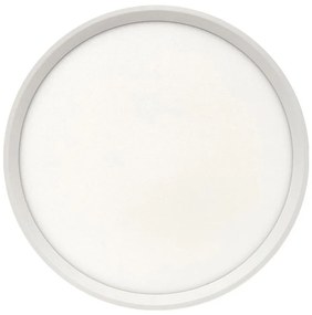 Plafonieră LED/24W/230V 3000/4000/6500K Ø 30 cm alb