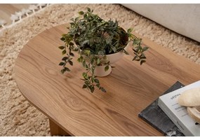 Măsuță de cafea OVAL 60x120 cm maro