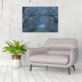 Tablou pe sticlă - Pădurea în ceață (70x50 cm)