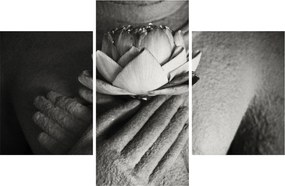 Tablou - Lotus în mâinile lui Buddha (90x60 cm)