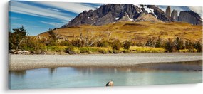 Tablou - Parcul Național Torres del Paine (120x50 cm)