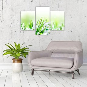 Tablou - Ghiocei (90x60 cm)