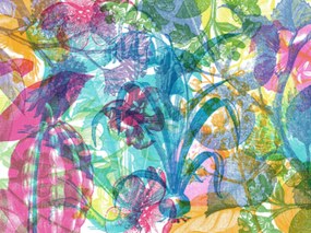 Fototapet, Jelly Belly Plants, Rebel Walls