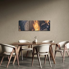 Tablou - Lemn în foc (cu ceas) (90x30 cm)