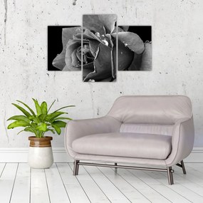 Tablou cu trandafir - albneagră (90x60 cm)