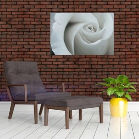 Tablou - Trandafirul alb (90x60 cm)