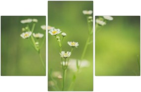 Tablou - Margarete (90x60 cm)