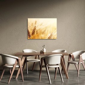 Tablou- detaliu cu (70x50 cm)