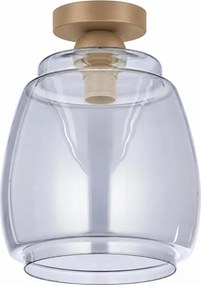 BRILAGI - Plafonieră LED R GLASS 1xE27/60W/230V Ø 26 cm bej/gri fumuriu