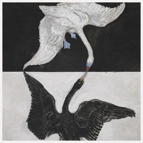 Reproducere The Swan No.12, Hilma af Klint