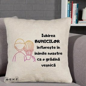 Cadou pentru Bunici - Perna Personalizata Iubirea Bunicilor Infloreste Cuplu Line Art Gradient, 40x40 cm, Bej Canapea, Husa Detasabila, Perna Inclusa, BEKZ®