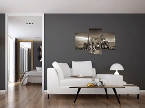 Tablou cu leii alb negri (90x60 cm)