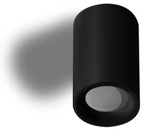 Spot aplicat tavan/plafon EIGER IP54 negru