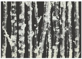 Fototapet - Stately Birches - Second Variant
