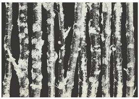 Fototapet - Stately Birches - Second Variant