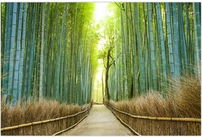 Tablou - Strada cu bambuși (90x60 cm)
