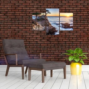 Tablou - Malul pacfic (90x60 cm)