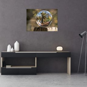 Tablou pe sticlă - Reflecție intr-o sferă transparentă (70x50 cm)