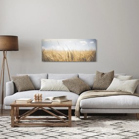 Tablou cu grâne (120x50 cm)