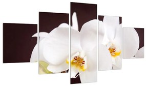 Tablou cu flori de orhidee (125x70 cm), în 40 de alte dimensiuni noi