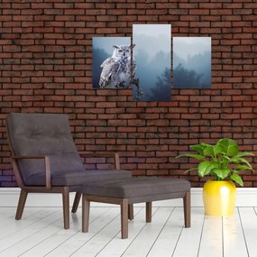 Tablou - Bufniță de zăpadă (90x60 cm)