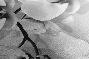 Tablou orhidee pe fundal abstract alb-negru