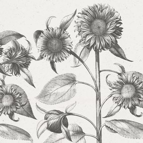 Fototapet, Sunflower, Beige, Rebel Walls