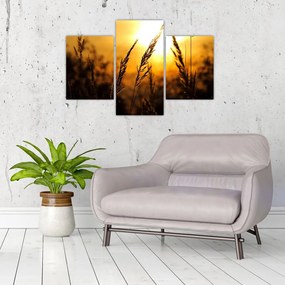 Tablou - Apus de soare (90x60 cm)