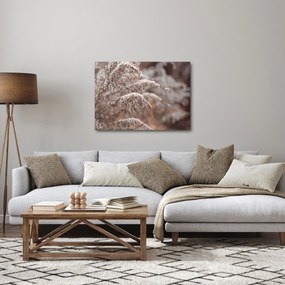 Tablou cu plante (70x50 cm)