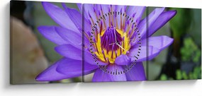 Tablou - Floare violet (cu ceas) (90x30 cm)