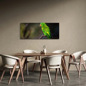 Tablou cu papagal pe greangă (120x50 cm)