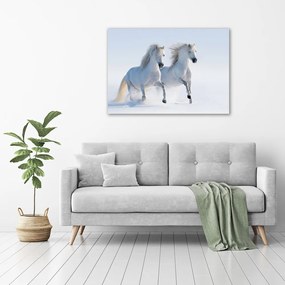 Print pe canvas Doi cai în zăpadă