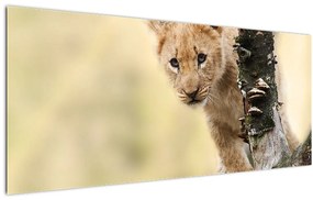 Tablou cu pui de leu (120x50 cm)