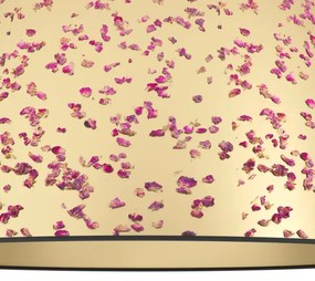 Plafonieră Eglo 390291 CASTUERA 1xE27/25W/230V auriu/roz