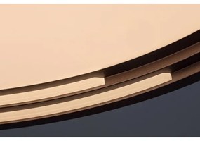 Rabalux - Lampă de tavan LED reglabilă/36W/230V