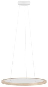 Lustră LED dimabilă pe cablu Eglo 390297 DEHESA LED/36W/230V 4000K