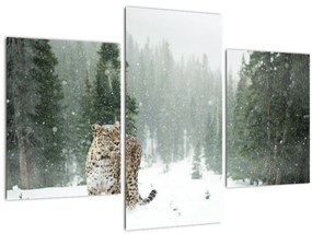 Tablou cu leopard în zăpadă (90x60 cm)