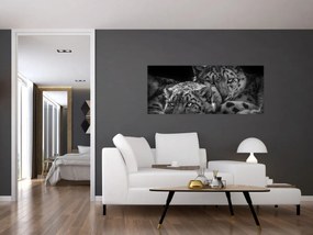 Tablou - Gheparzi care se odihnesc (120x50 cm)