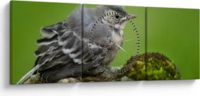 Tablou - Muscarul (cu ceas) (90x30 cm)