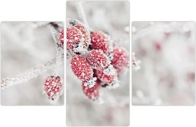 Tablou - Fructe congelate (90x60 cm)