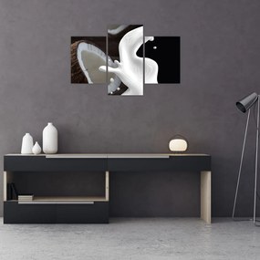 Tablou - laptele de cocos (90x60 cm)