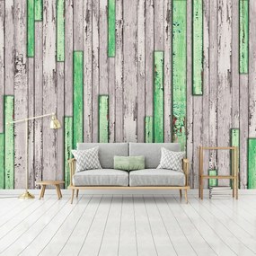 Fototapet - Scândură gri și verde ruptă (152,5x104 cm)