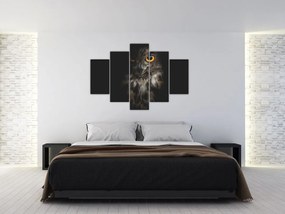Tablou cu bufnița (150x105 cm)