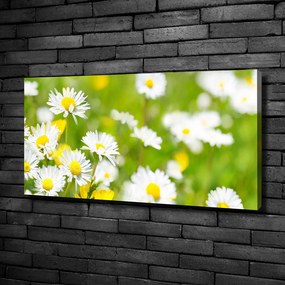 Imprimare tablou canvas Margarete